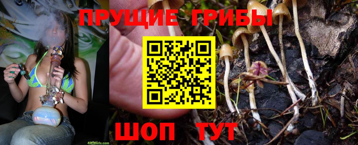 Братск  Псилоцибиновые грибы прущие грибы  Вход с VPN  Галлюциногенные грибы ЛСД 